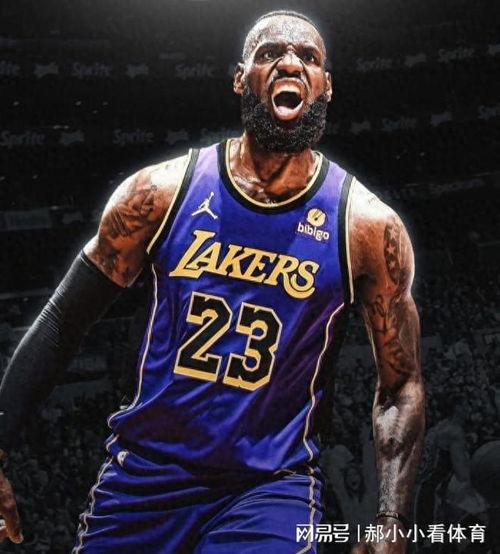 詹姆斯视频,揭秘篮球巨星赛场内外精彩瞬间