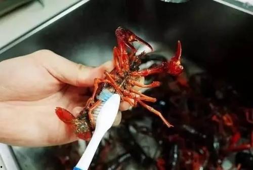 清洗小龙虾视频,视频教你轻松洗净美味佳肴