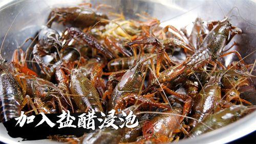 清洗小龙虾视频,视频教你轻松洗净美味佳肴