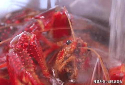 清洗小龙虾视频,视频教你轻松洗净美味佳肴