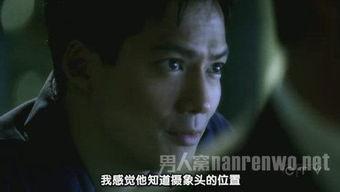 华人视频play,探索多元文化，共赏视听盛宴