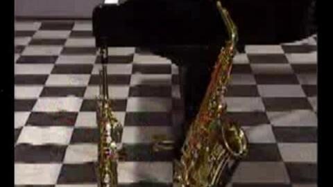 萨克斯入门教学视频,萨克斯风入门教学视频精华概述